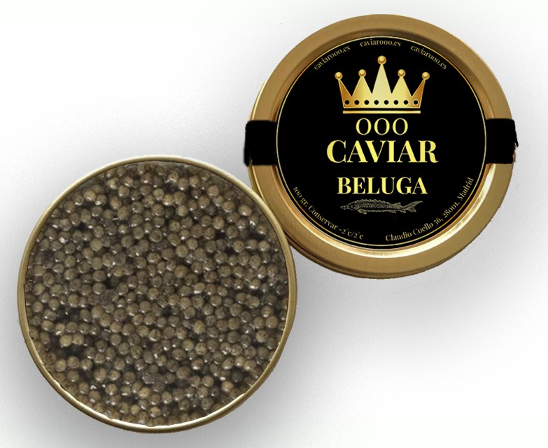 000 Beluga — Imagen principal